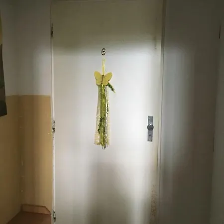 Paula * Nová Lesná